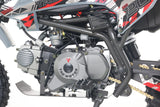 2025 DB20 110cc Gas Dirt Bike - Tao Moto