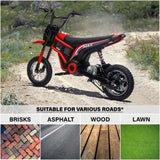 Max 2.0 Electric Dirt Bike for Kids, 24V 350W Motor, Max 24 km/h