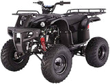 Tao Blazer 125P 125cc Gas ATV -Mazi Edition