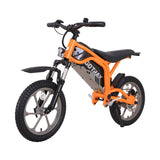 Fitz16 36V 300W Electric Dirt Bike for Kids