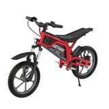 Fitz16 36V 300W Electric Dirt Bike for Kids