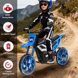 Max 2.0 Electric Dirt Bike for Kids, 24V 350W Motor, Max 24 km/h