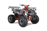T-FORCE 125cc Platinum Edition Gas Atv- Tao Motor