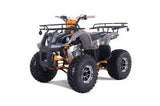 TaoMotor T 125 T-Force Platinum 120CC Engine ATV 4-Stroke for Adult, All-Terrain Vehicle Motorcycle, Red