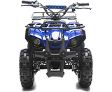eQuad X Blue 36v Atv -Rosso Rosso Motors