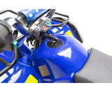 eQuad X Blue 36v Atv -Rosso Rosso Motors