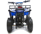 eQuad X Blue 36v Atv -Rosso Rosso Motors