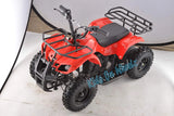ELECTRIC ATV 36V 800W QUAD FOR KIDS - Kids On Wheelz