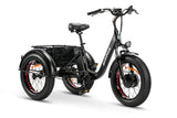 ACADiAN TRiKE ALL SEASON FAT TIRE TRIKE