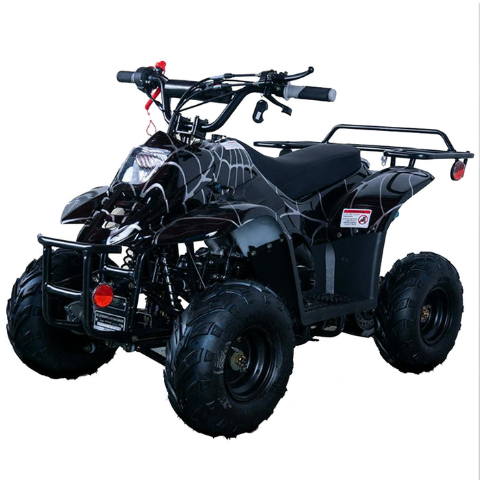 Alpha Sports mini atv's for for kids ages six and up