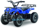 ELECTRIC ATV 36V QUAD FOR KIDS - BLUE - Kids On Wheelz