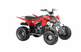 Apollo GIZMO 120cc EFI ATV / Quad Apollo