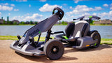 Segway Ninebot GoKart Pro Electric Go Kart