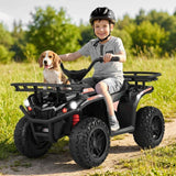 Costway 24V Kids ATV Ride-On Toy Quad with LED Lights