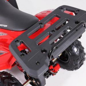 2024 Rock 110cc Gas Atv - Tao Motors