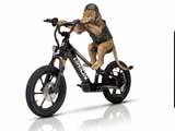 ORION e16x (2025) Electric Balance Bike