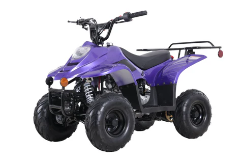 GIO Blazer 110cc Gas Atv