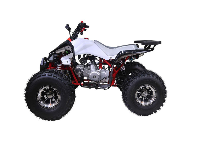 ATV TAO MOTORS - CHEETAH PRO - 125cc AUTOMATIC