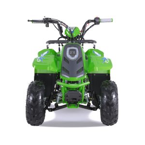 2024 Rock 110cc Gas Atv - Tao Motors