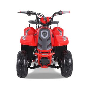 2024 Rock 110cc Gas Atv - Tao Motors