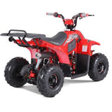 2024 Rock 110cc Gas Atv - Tao Motors