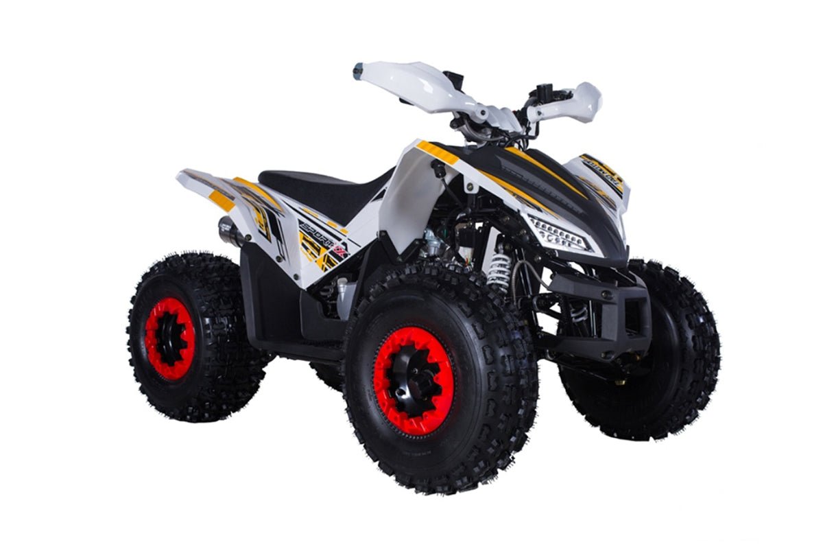 Tao Rex 125cc Gas ATV With Reverse – Kids On Wheelz