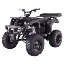 TAO/VIPER 125CC Gas Atv With Plow