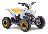 Apollo Sano Cobra 36v 800W Electric ATV