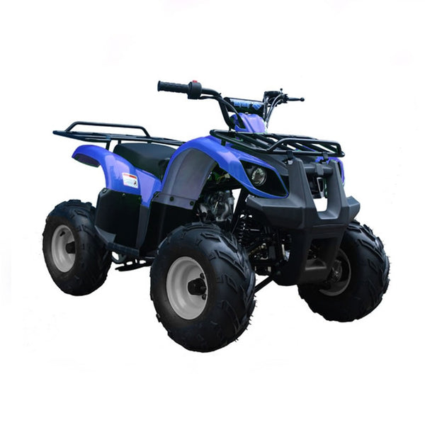 ATV BLAZER 125CC - Niños en Wheelz 