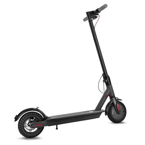 Adult Electric Scooter- Kids On Wheelz 