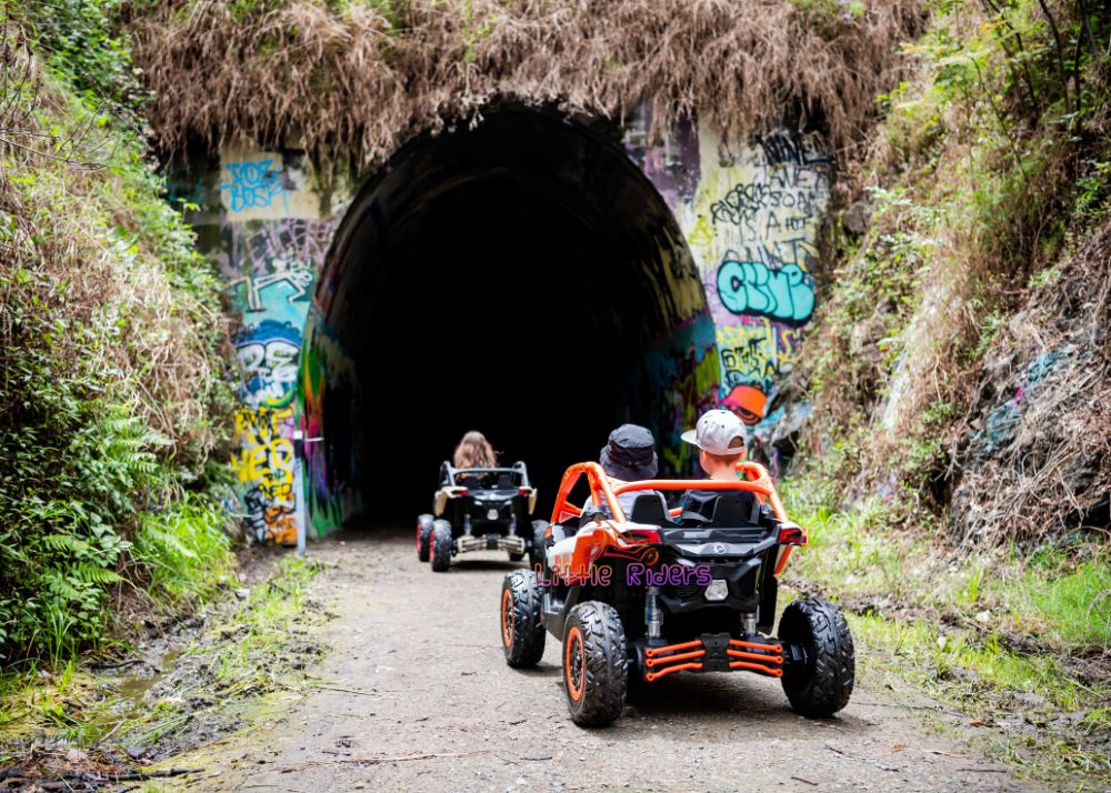 24v CAN-AM Maverick RS Edition 2 Seater Buggy Coche eléctrico para niños con control remoto para padres Regalo perfecto